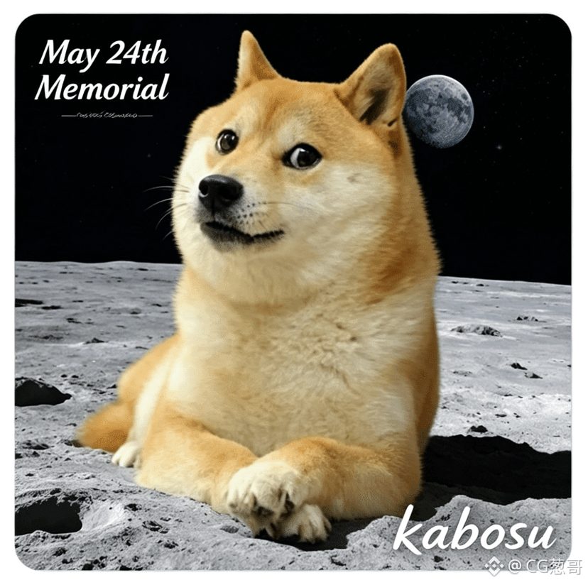 #kabosu 5月24日卡波苏纪念日🎂
DOGE头像表情包原型柴犬kabosu(卡波苏)纪念日,
⚡币圈必看!5月