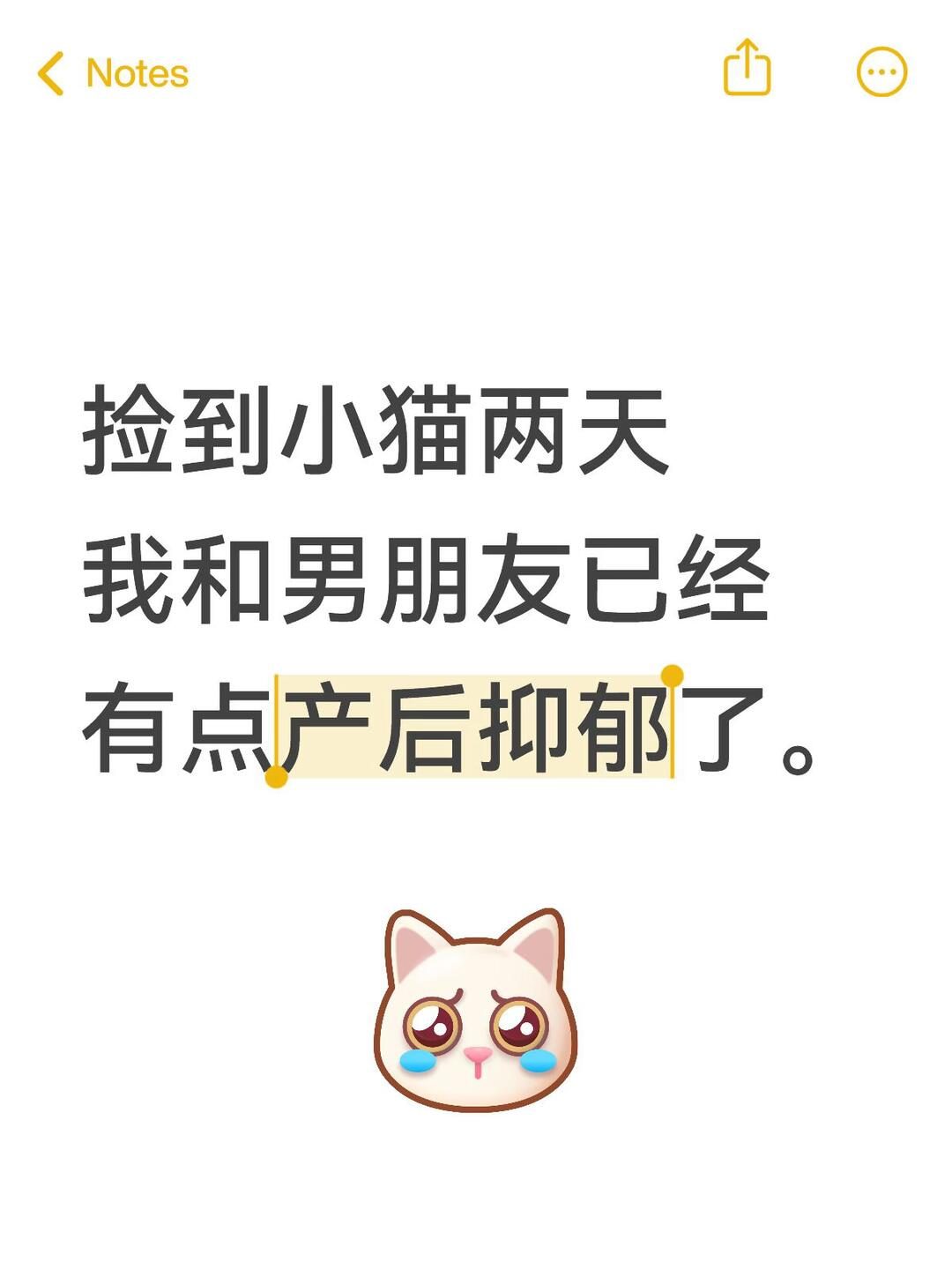 捡到小猫两天我和男朋友有点产后抑郁了