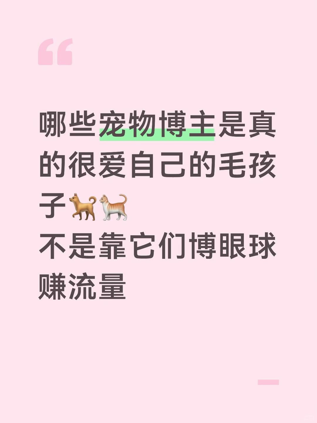 哪些宠物博主是真的很爱自己的毛孩子