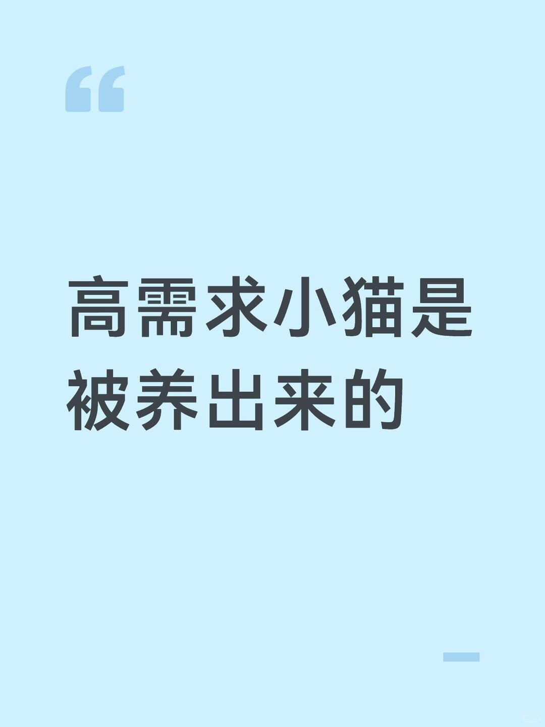 一人一猫模式养出了高需求小猫
