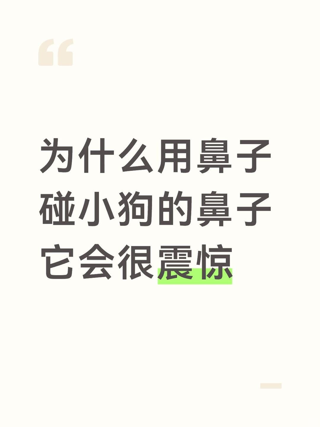 为什么用鼻子碰小狗的鼻子会很震惊呢