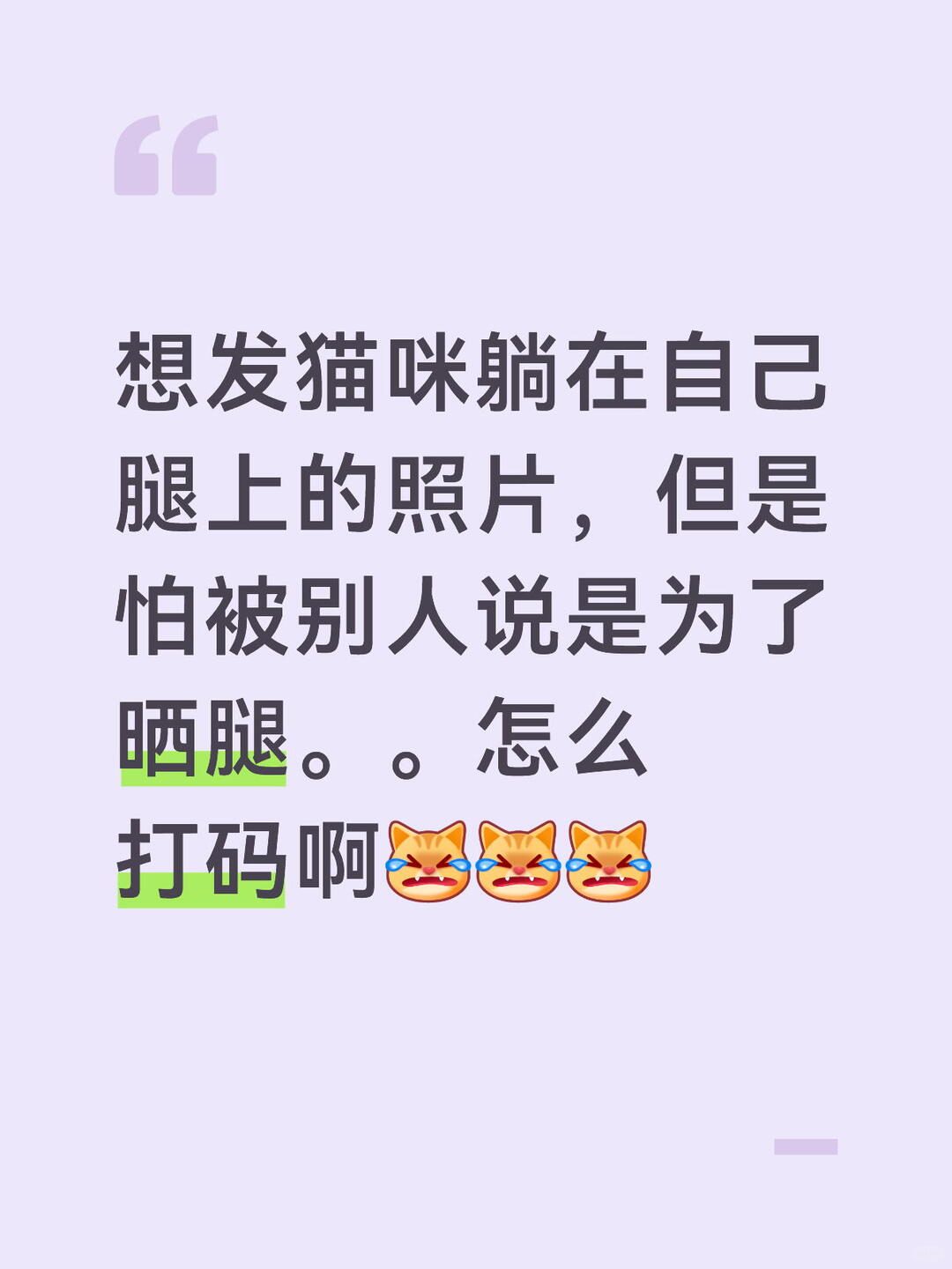 我真的只是想炫耀猫