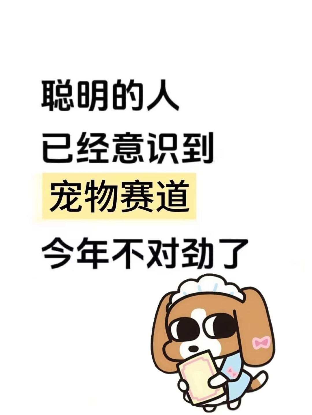 不会还有姐妹不知道宠物赛道今年不对劲了吧