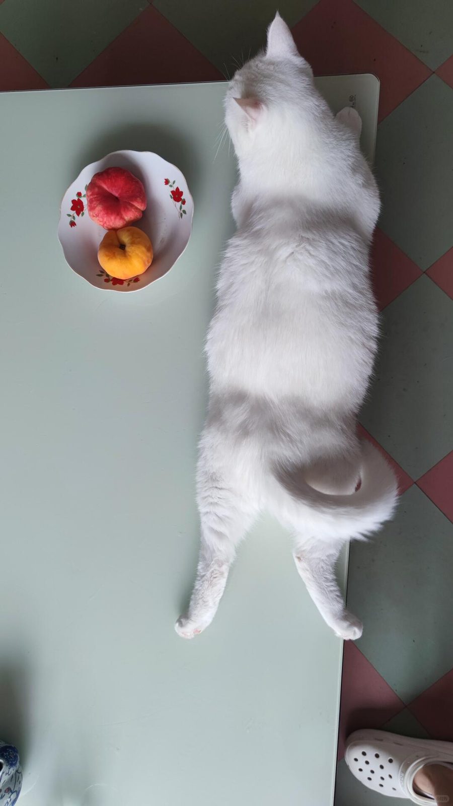 猜你想搜