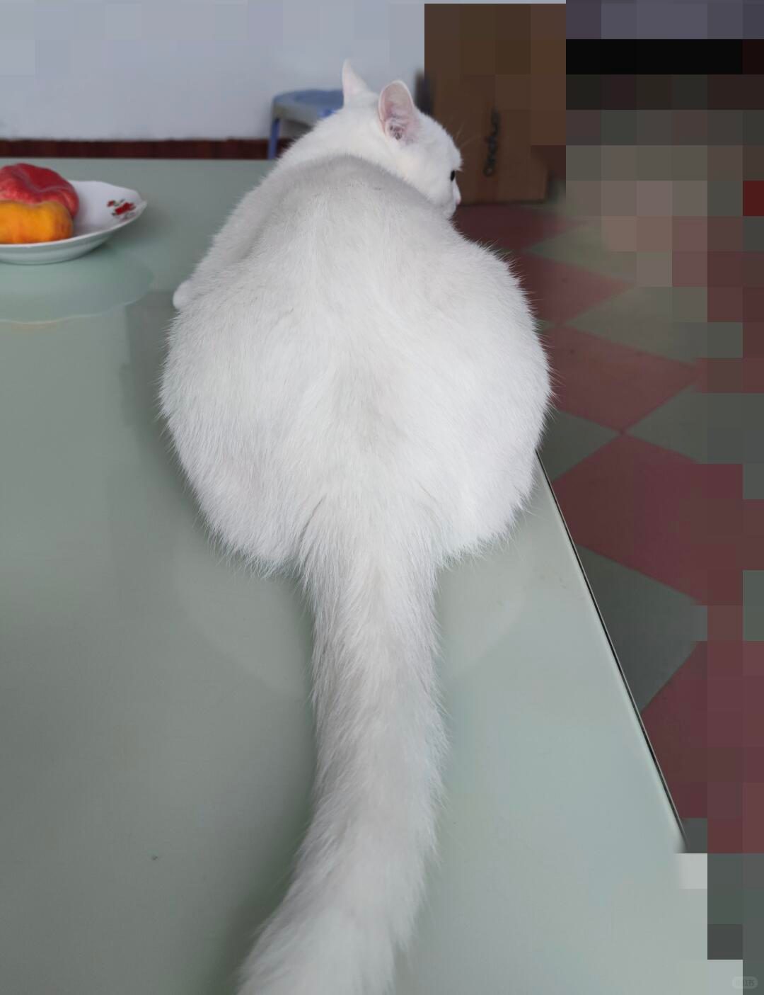 猜你想搜