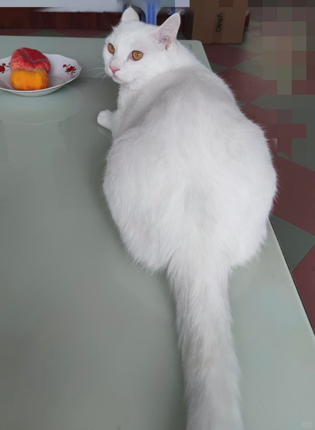 猜你想搜