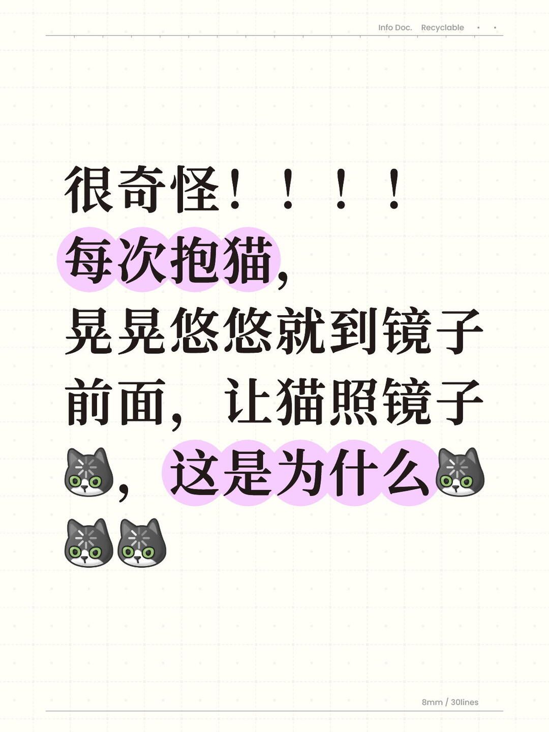 抱猫,必让猫照镜子!why,why,why