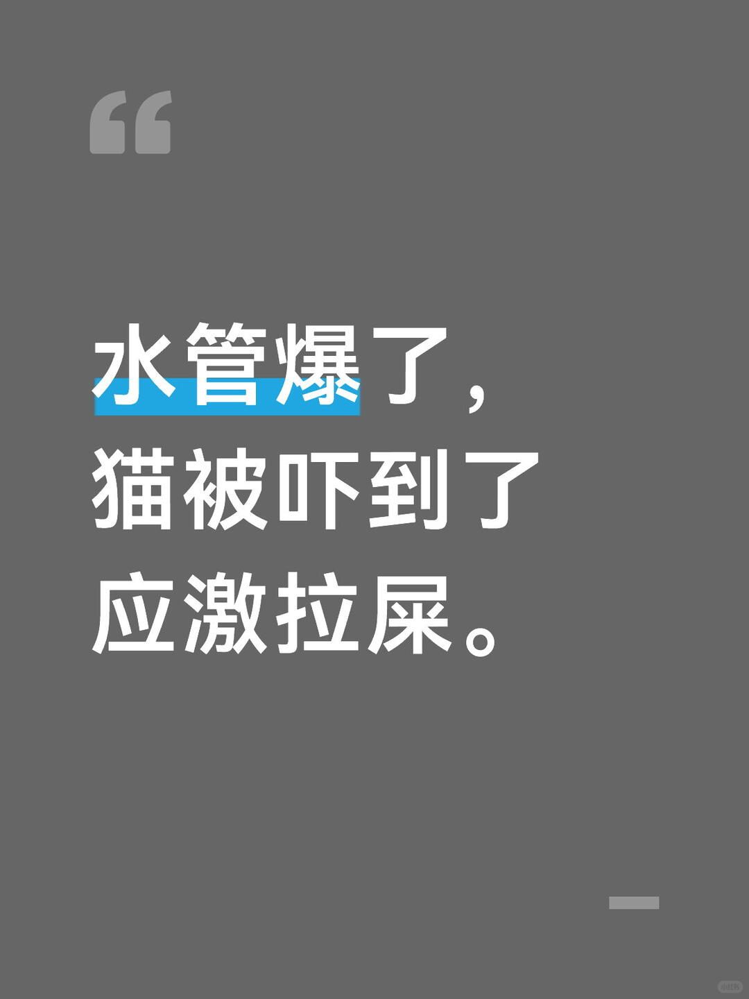 很难说度过了怎样的一个上午