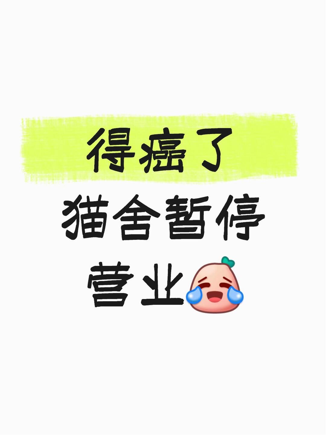 真没想到我是以这个方式倒闭的😂